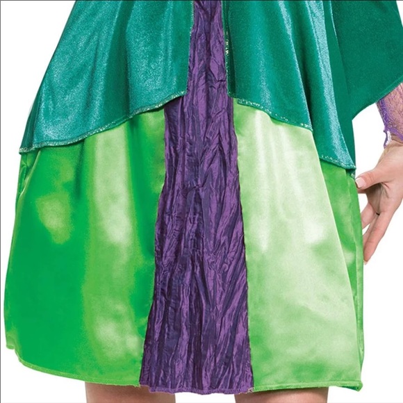 Disney Store Pocus Winnifred Costume - Picture 4 of 6